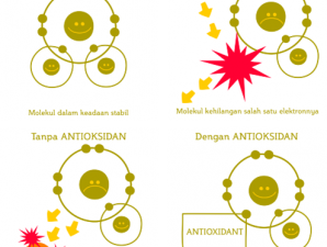 antioksidan-memerangi-radikal-bebas-298x300