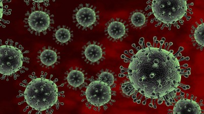 avian_influenza_h5n1_virus_50271391