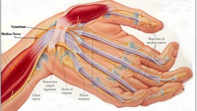 Guillain-Barre Syndrome