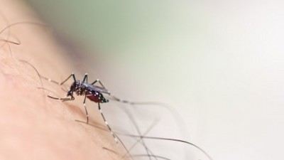 Apa Penyebab Malaria